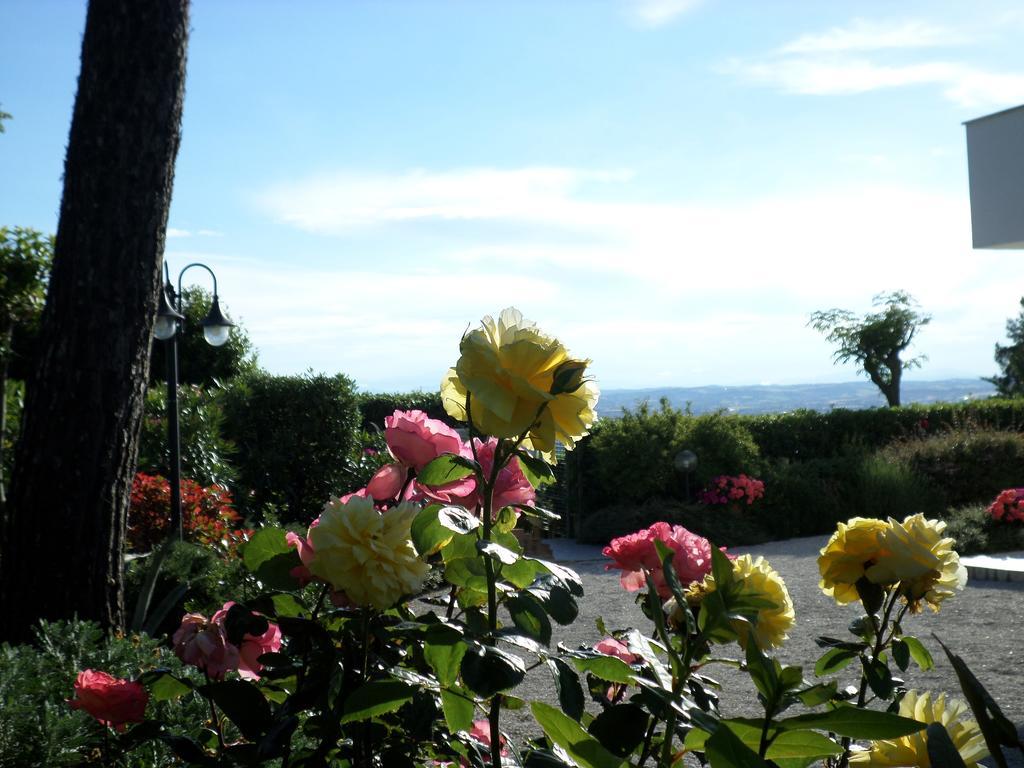 Bed And Breakfast " Il Tesoro Di Mario " Falconara Marittima Extérieur photo