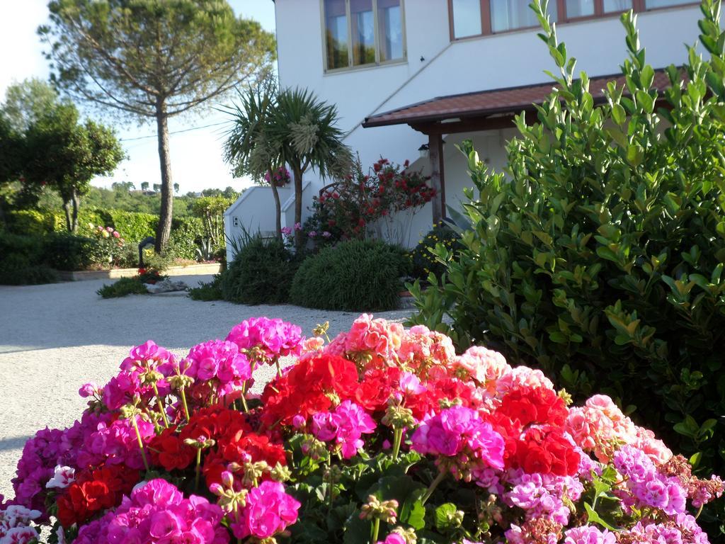 Bed And Breakfast " Il Tesoro Di Mario " Falconara Marittima Extérieur photo
